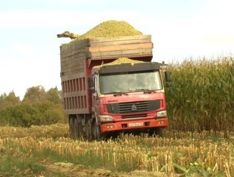 Дело жизни: аграрии Калужской области поделились секретами высоких показателей