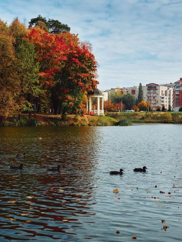 Осень в Обнинске, фото Дмитрия Дыбова Осень в Обнинске, фото Дмитрия Дыбова