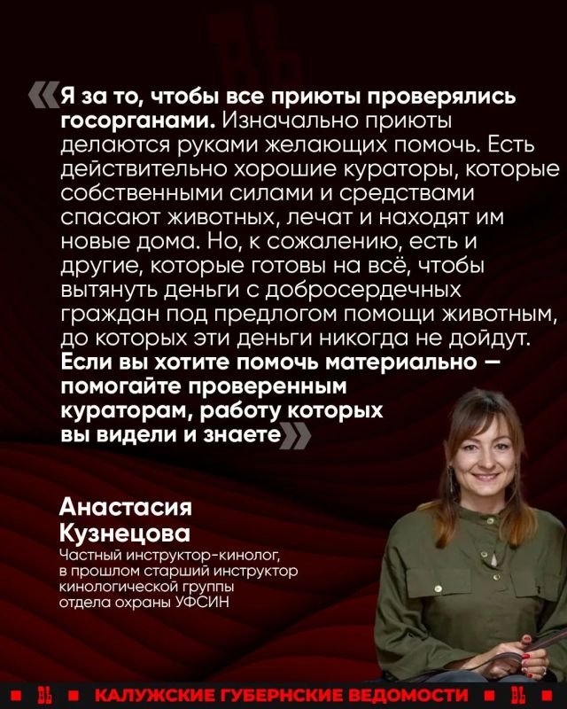 Кинолог прокомментировала ситуацию с «Островом надежды» в Калужской области
