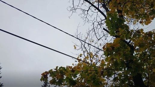 В Калужской области силы ПВО сбили 46 беспилотников