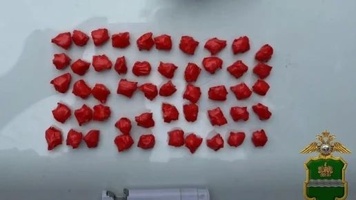Житель Кирова задержан с наркотиками в лесу