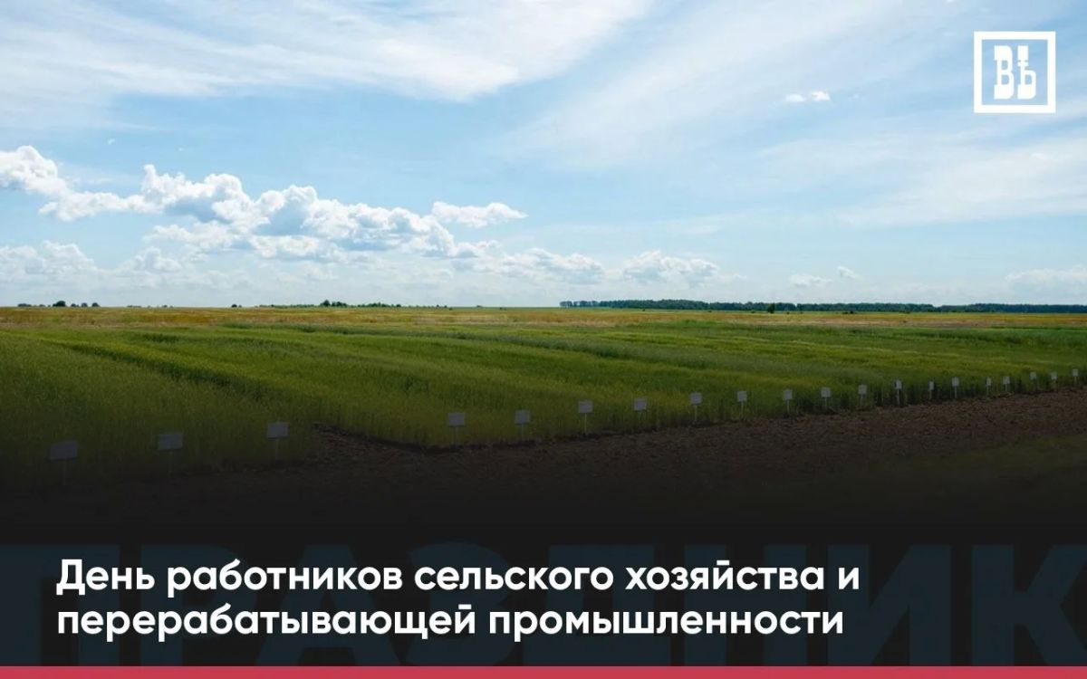 11 октября — День работников сельского хозяйства и перерабатывающей промышленности