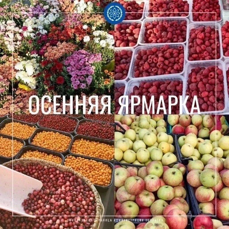 Сельскохозяйственная ярмарка 17 октября