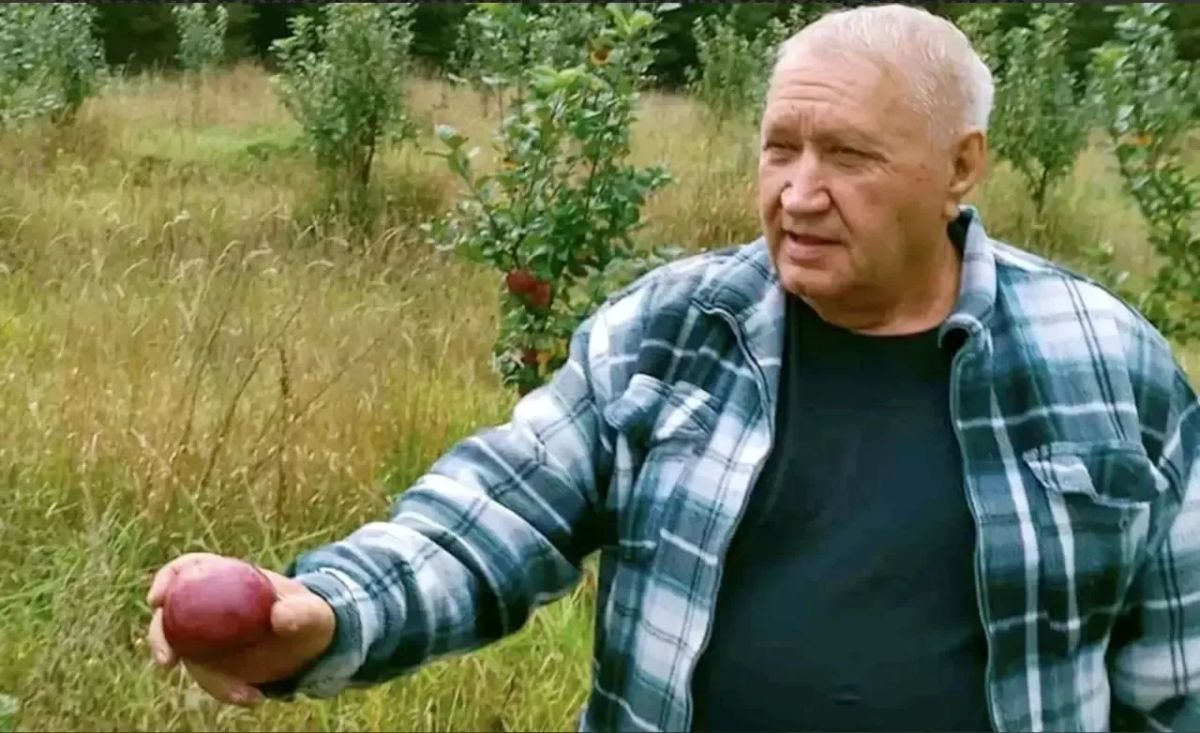 Владислав Шапша: 150 гектаров - такова площадь его садов Владислав Шапша: 150 гектаров - такова площадь его садов