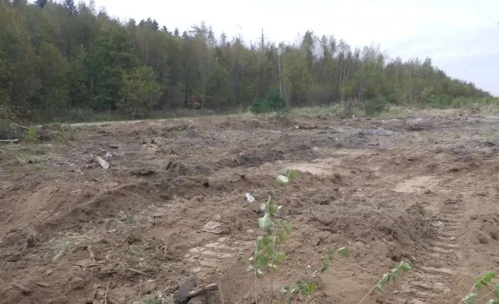 По требованию Калужской межрайонной природоохранной прокуратуры ликвидированы несанкционированные свалки в лесах По требованию Калужской межрайонной природоохранной прокуратуры ликвидированы несанкционированные свалки в лесах
