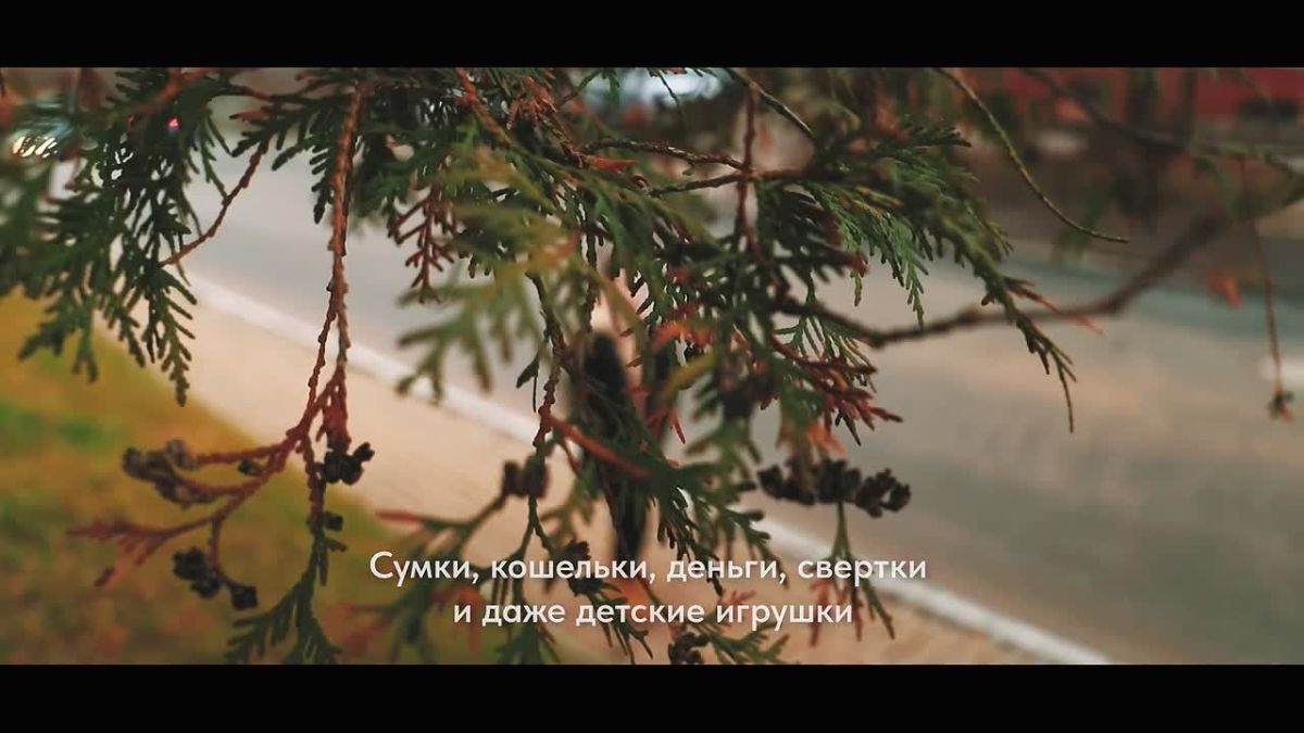Безопасность начинается с нашей внимательности