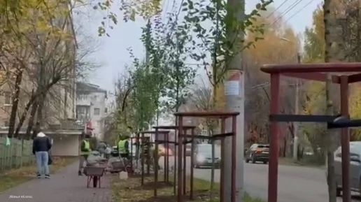 В Калуге на улице Жукова появились новые яблони