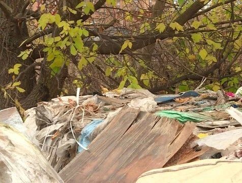 Cвалки в лесах Калужской области убрали после вмешательства прокурутуры