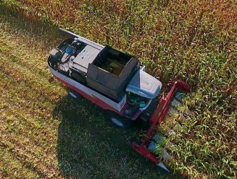 Хороший урожай зерновых и масличных культур собрали калужские аграрии