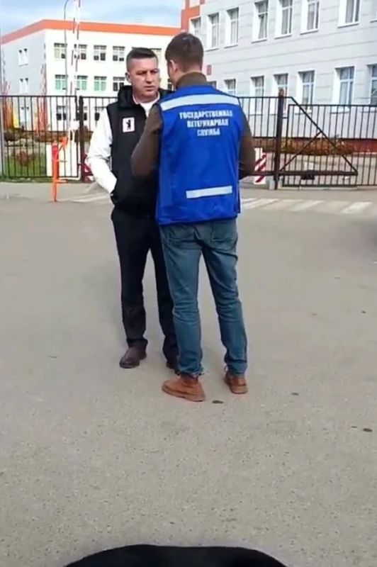 Собака напала на ребенка в Малоярославце