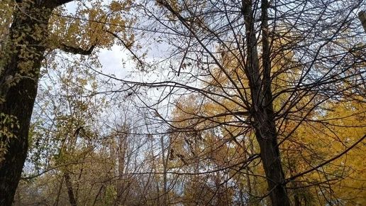 В Калужской области сняли режим беспилотной опасности