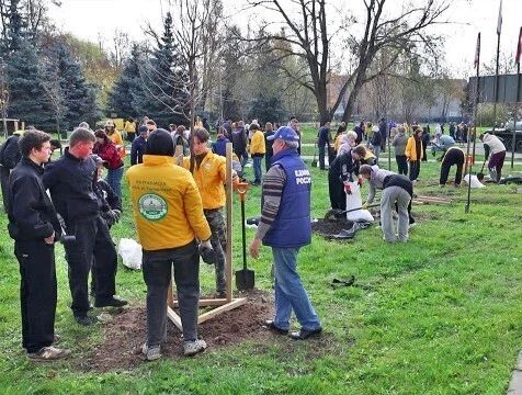 Тимирязевскую аллею высадили в Малоярославце