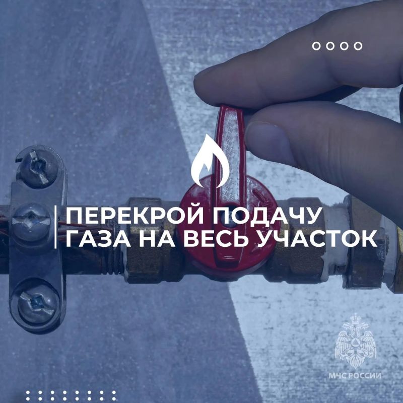 «Законсервируй» не только соленья, но и свою дачу «Законсервируй» не только соленья, но и свою дачу